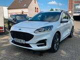 Ford Kuga ST-Line Sport / Line *1 Hand*Tüv NEU*AWD - Ford Kuga: Sport