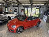 Volkswagen Beetle 2.0 TSI R-Line Cabrio*Bi-XENON* - Volkswagen Beetle: Cabrio