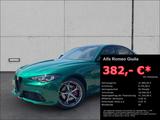 Alfa Romeo Giulia Tributo Italiano Q4 SPEZIALLACK+LEDER+SPO - Alfa Romeo: Grün