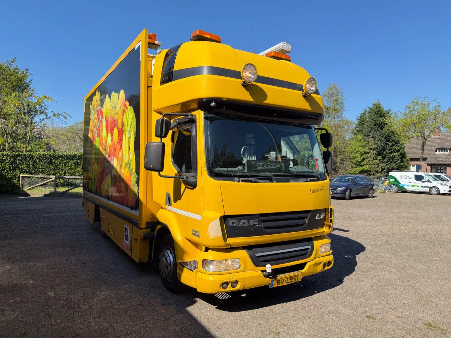 DAF LF 250 / Thermo King MD-300 / Dhollandia Laadkle