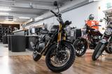 Royal Enfield BEAR 650 neues Modell 2025, sofort lieferbar - Royal Enfield Bear 650