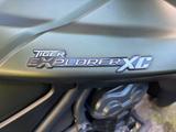 Triumph Tiger Explorer XC - TRIUMPH TIGER