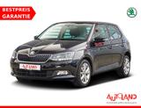 Skoda Fabia 1.0 TSI DSG Clever ACC Navi SmartLink DAB - Skoda Fabia Gebrauchtwagen in Magdeburg