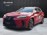 Lexus UX UX Hybrid F-Sport 4WD MY24 - rote Lexus UX