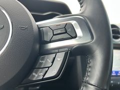 Fahrzeugabbildung Ford Mustang 5.0 Ti-VCT V8 GT *ACC*B&O*LEDER*LED*19"
