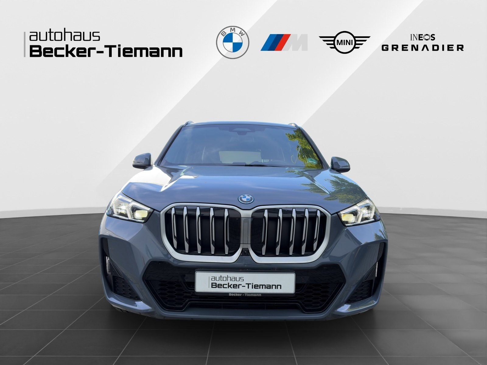 BMW X1 xDrive30e M-Sport AHK HUD DrivAssProf. ParkAs foto 3