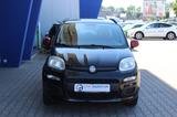 Fiat Panda Lounge - Fiat Panda: Schwarz