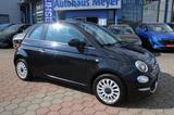 Fiat 500 1.2 8V Lounge Panorama, Allwetter, Tüv & Ins - Fiat 500: 1.2