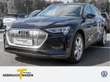 Audi e-tron 55 Q LED VIRTUAL NAVI KAMERA LM20 AHK - Audi e-tron aus 2023