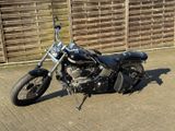 Harley-Davidson Softail - HARLEY-DAVIDSON 2004 SOFTAIL