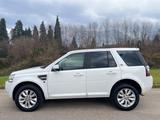 Land Rover Freelander 2.2 TD4 S.W. SE - Land Rover Freelander Kombi Gebrauchtwagen