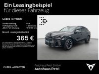 Cupra Terramar - Vorschau Bild 2