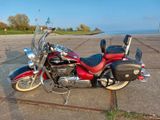 Suzuki INTRUDER VL 800C Velousia Classic - SUZUKI C INTRUDER 800