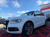 Audi SQ5 3.0 TDI competition quattro*Kamera* - gebrauchte Audi SQ5 aus dem Jahr 2017