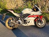 Yamaha YZF R3 60TH Anniversary Edition - YAMAHA WEIß R6