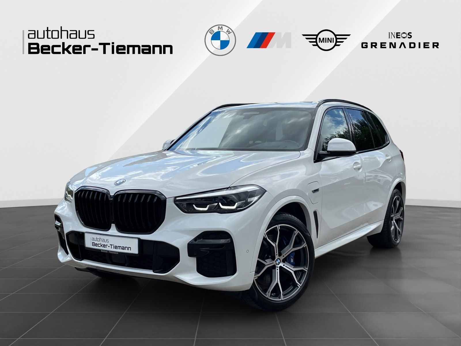 BMW X5 xDrive45e M Sport/AHK/Driv.Ass.Prof./21 Zoll