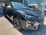 Cupra Terramar 2.0 TSI 4D VZ Pano/Matrix/Sennheiser - schwarze Cupra Terramar