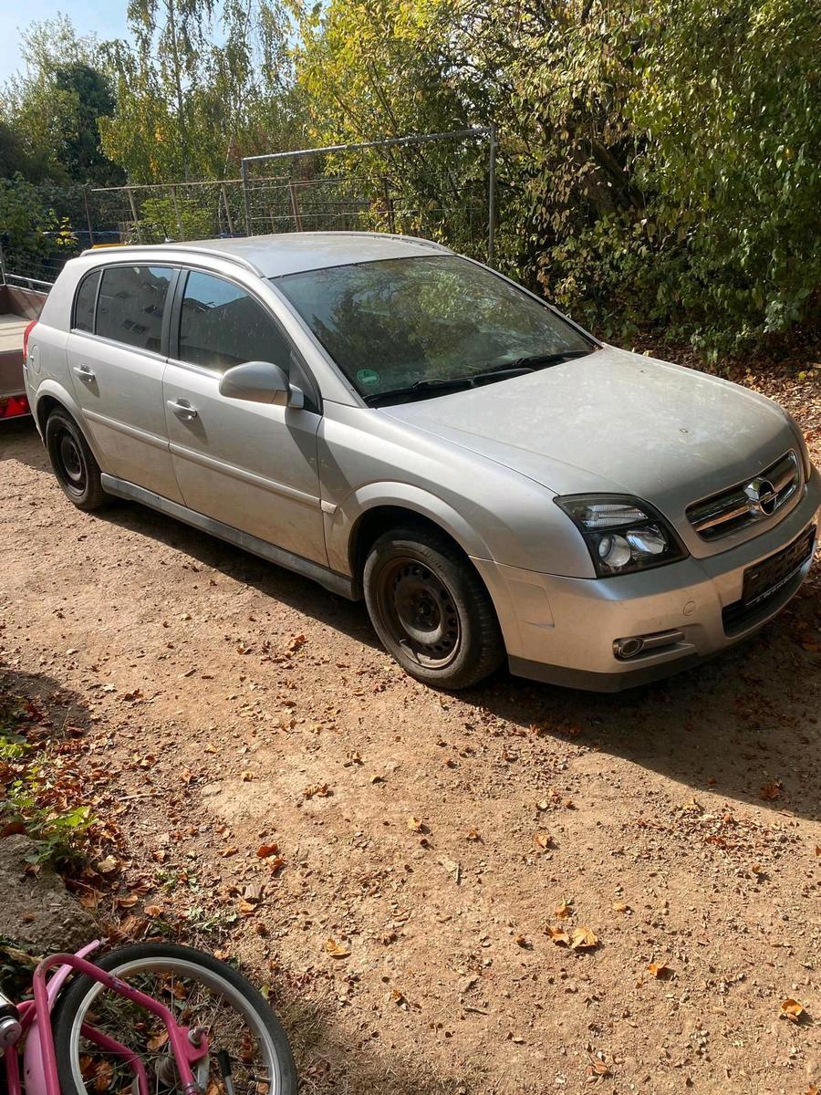 Opel Signum 2006 — rear view