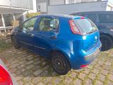 Fiat Punto Evo 1.4 treuer Begleiter sucht neue - blaue Fiat Punto Evo