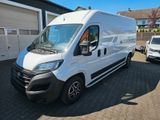 Fiat Ducato Grossr.-Kasten 35 140 L4H2 RS: 4035 mm - Fiat Ducato: L4