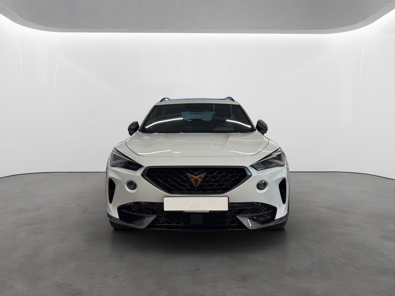 Cupra Formentor 2.0 TSI DSG 4Drive VZ MATRIX-LED+LEDER imagem 3