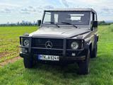 Mercedes-Benz G 250 Wolf - Ich wäre bereit...