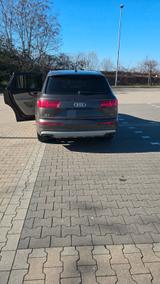Audi Q7 3.0 TDI quattro tiptronic - - Audi Q7 Gebrauchtwagen in Osnabrück