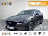 Mazda CX-30 Selection *LED*Kamera*Navi*ACC*Tot Winkel* - Mazda Gebrauchtwagen von 2023