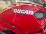 Ducati Monster 696 - DUCATI 2008 MONSTER