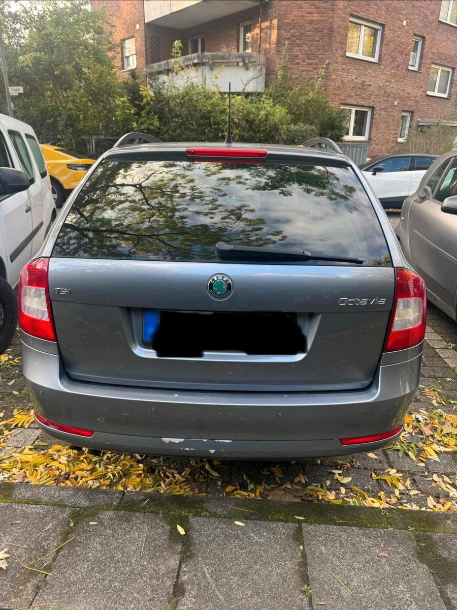 Skoda Octavia 2013 — photo 6