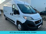 Fiat Ducato "MOTOR NEU" Maxi L4H2 Kastenwagen - Fiat Ducato: Kastenwagen