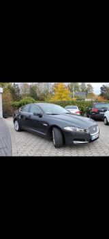 Jaguar XF 2.2 L Diesel - - Jaguar XF in Köln
