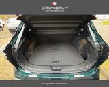 Nissan Qashqai TEKNA+ 1.3 DIG-T MHEV 116kw Xtronic 2... - Neuwagen: Automatik