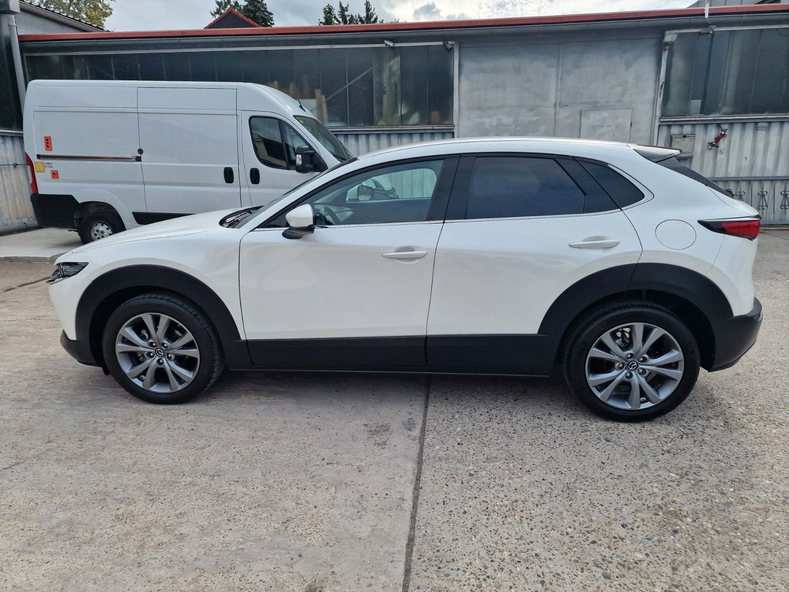 Mazda CX-30 Prime-Line,Bos,Navi,Kamera,Autom,Totwinkel imagem 3
