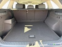 Skoda Kodiaq - Vorschau Bild 8
