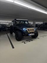 Jeep Wrangler Unlimited 3.6 V6 - Trailmaster - Jeep Wrangler: Pickup