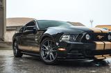 Ford Mustang 5.0 GT V8 Schalter/Premium/R19/Kamera - gebrauchte Ford Mustang aus dem Jahr 2013