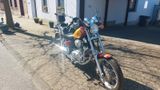 Yamaha XV 750 (Virago) - Offers matching your search criteria