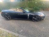 Jaguar XK 3.5L V8 Cabriolet -  XKR-Optik - TÜV neu  - Jaguar XK aus 2008