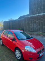 Fiat punto 1.4 Tjet - gebrauchte Fiat Punto aus dem Jahr 2008