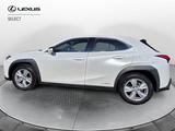Lexus UX UX Hybrid Business - weiße Lexus UX