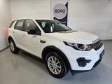 Land Rover Discovery Sport 2.0 Td4 Pure + TMP/AHK/8.Reifen - Land Rover Discovery Sport: Pure