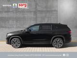 Skoda Kodiaq 2.0 142kW EU6e Sportline 2,0 TDI 142 kW 7 - Skoda Neuwagen: Eu