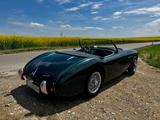 Austin Healey 100M - BN1 - aus 1953 mit Benzin-Antrieb: Cabrio