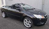 Ford Focus Cabrio 1.6 Trend   *HU/AU-NEU! - Ford Focus aus 2010: 1.6