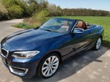 BMW 220i Cabrio Luxury Line Leder Xenon  Service neu - BMW 220: I