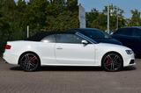 Audi A5 Cabrio S-Line|Bi-Xenon|Alcantara|Si-Hzg|Tempo - Audi A5: Weiß, Cabrio