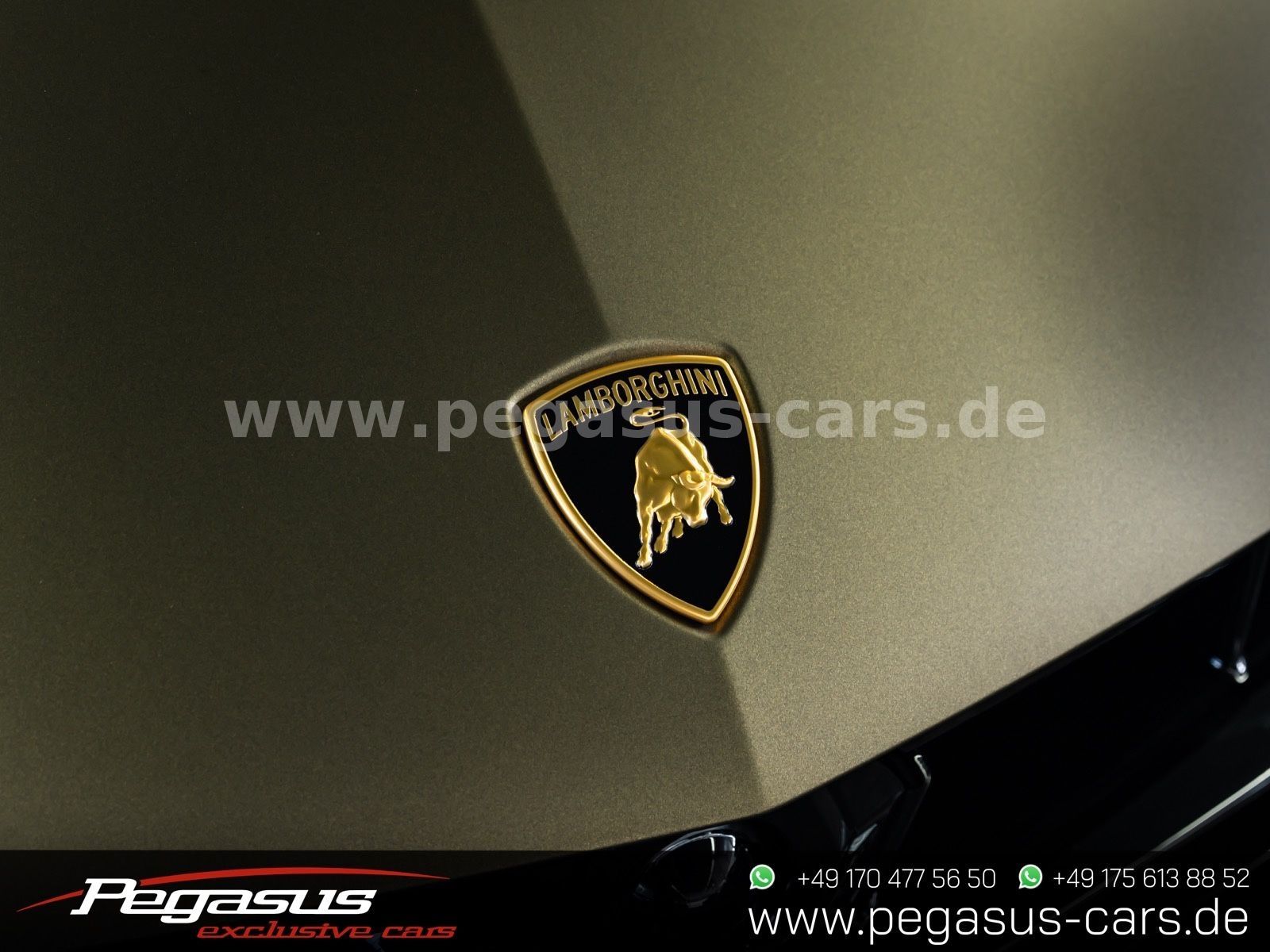 LAMBORGHINI Urus - 13