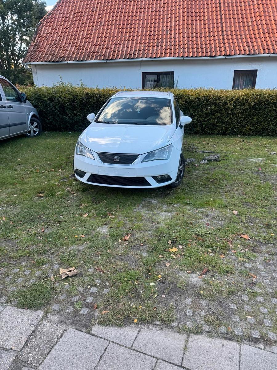 Seat Ibiza 2014 — rear view