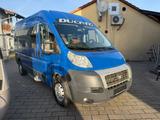Fiat Ducato Multijet - Fiat Ducato: Automatik